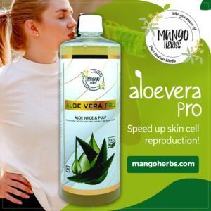 Read more about the article All About Aloe Vera