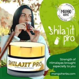 Read more about the article All About Shilajit