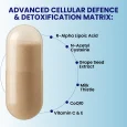 glutathione-pro-informative-single-03-updated